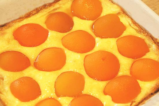 apricot_brioche_tart