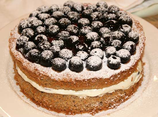 cinnamon_sponge_blueberries