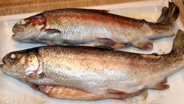 rick_stein_old_trout_recipe