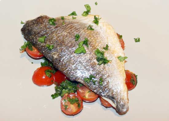 sea_bream_tomato_herb_salsa