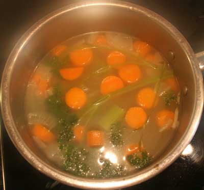 vegetable_bouillon