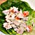 poached_chicken_salad_sauce_mousquetaire