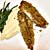 herb_crusted_mackerel_lemon_cauliflower_mash