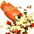 chicory_smoked_salmon_prawns