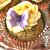 lemon_poppyseed_cupcake