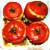 greek_stuffed_tomatoes